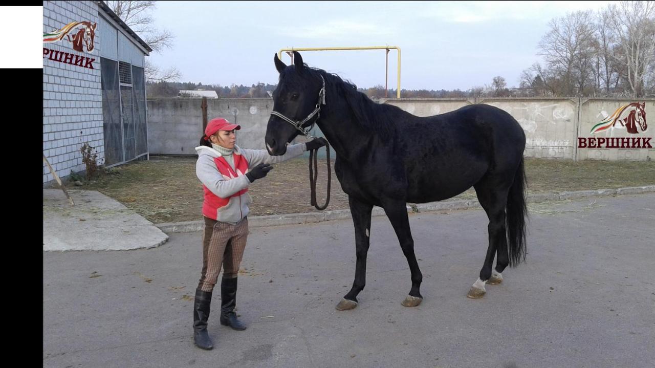 Vershnyk Tcherkassy Extérieur photo